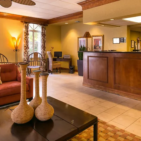 Best Western Tampa-3